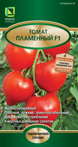 Томат Пламенный F1 (А) 12, Поиск