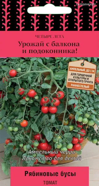 Томат Рябиновые бусы (А) 5, Поиск