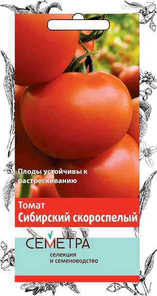 Томат Сибирский скороспелый 0,1, Поиск