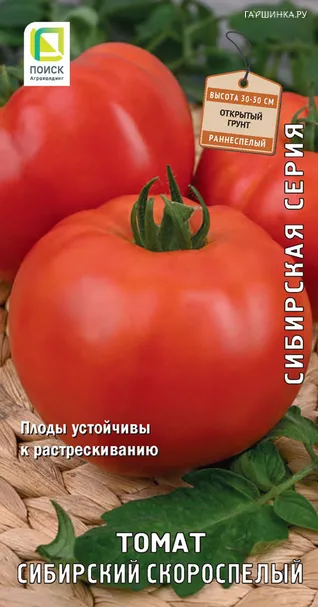 Томат Сибирский скороспелый 0,1, Поиск