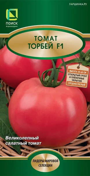 Томат Торбей F1 12, Поиск