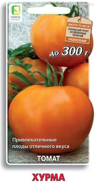 Томат Хурма 0,1, Поиск
