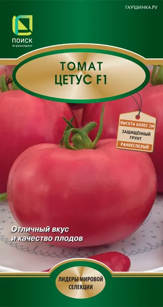 Томат Цетус F1 5, Поиск