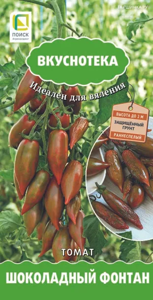 Томат Шоколадный фонтан (А) 10, Поиск