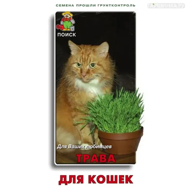 Трава для кошек ц/п 10 г, Семена Поиск
