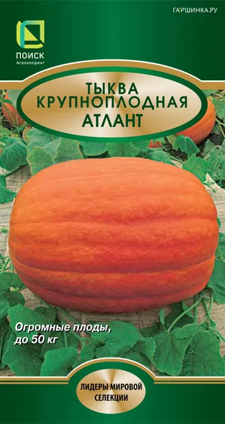Тыква Атлант крупноплодная ц/п 5 шт, Семена Поиск