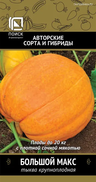 Тыква Большой Макс крупноплодная (А) 10, Поиск