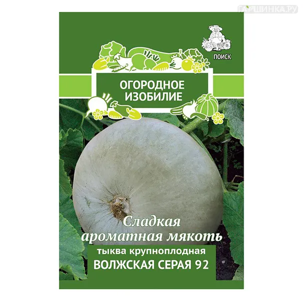Тыква крупноплодная Волжская серая 92 2, Поиск