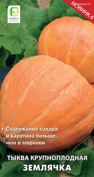Тыква крупноплодная Землячка (А) 10, Поиск