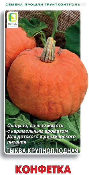 Тыква Конфетка крупноплодная 10, Поиск