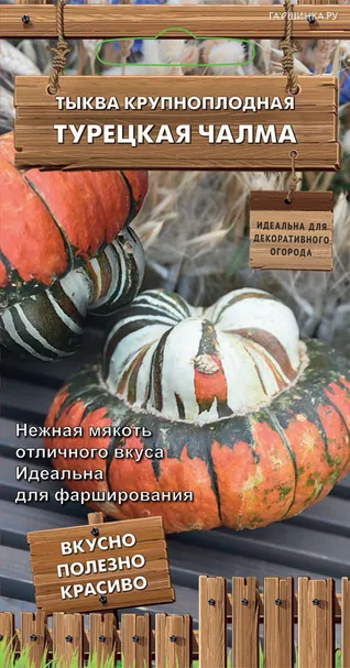 Тыква крупноплодная Турецкая чалма (сер. Декоративный огород) 5 шт, Семена Поиск