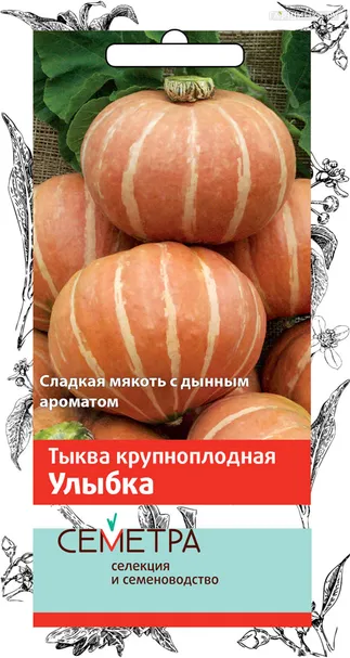 Тыква Улыбка крупноплодная 3, Поиск