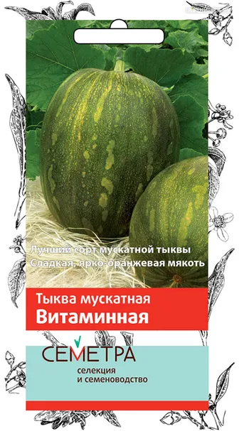 Тыква мускатная Витаминная 3, Поиск