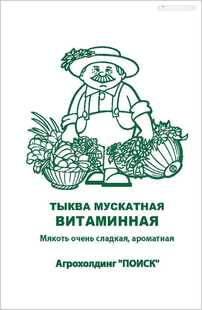 Тыква мускатная Витаминная 10, Поиск