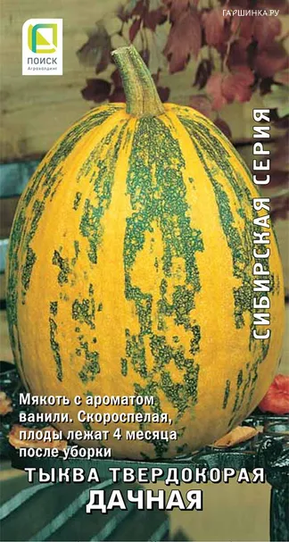 Тыква твердокорая Дачная 10, Поиск