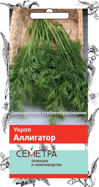 Укроп Аллигатор 3, Поиск