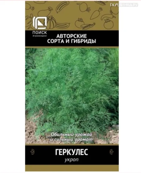 Укроп Геркулес  (А) 3, Поиск