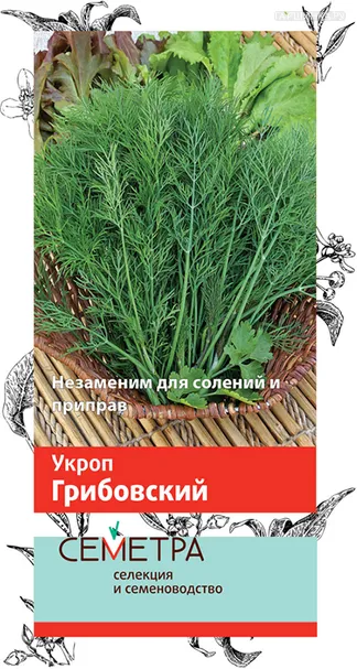 Укроп Грибовский 3, Поиск