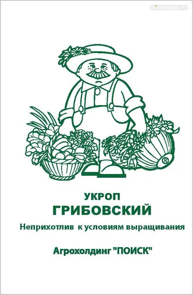 Укроп Грибовский 3, Поиск