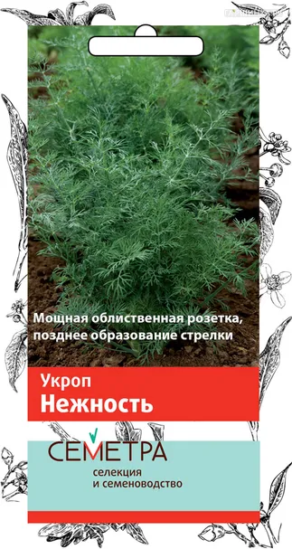 Укроп Нежность (А) 3, Поиск