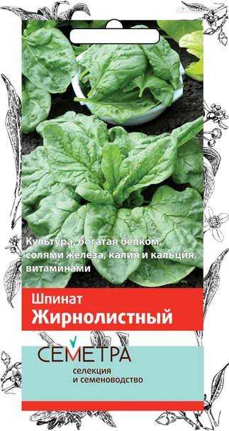 Шпинат Жирнолистный (ТМ Семетра) 3 г, Семена Поиск
