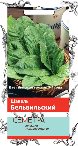 Щавель Бельвильский 1, Поиск