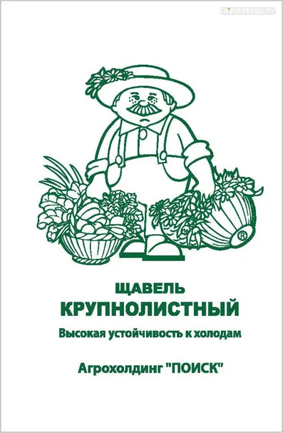 Щавель Крупнолистный 1, Поиск