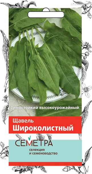 Щавель Широколистный 1, Поиск