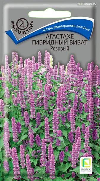 Агастахе гибридный Виват Розовый 10, Поиск
