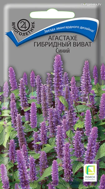 Агастахе гибридный Виват Синий 10, Семена Поиск