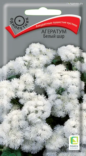 Агератум Белый шар 0,1, Поиск