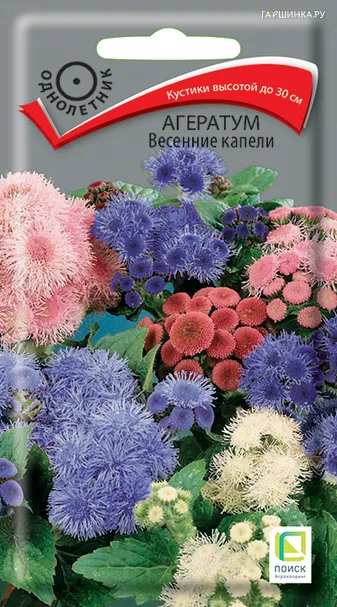 Агератум Весенние капели 0,2, Поиск