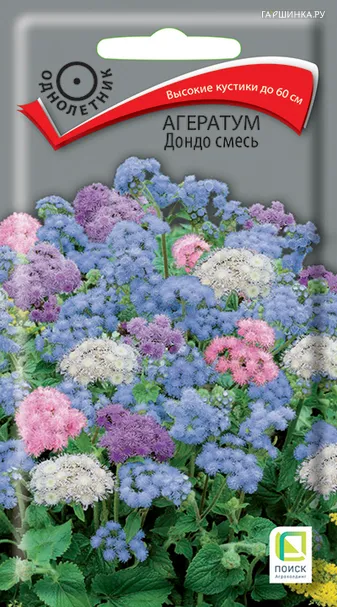 Агератум Дондо смесь 0,1, Поиск