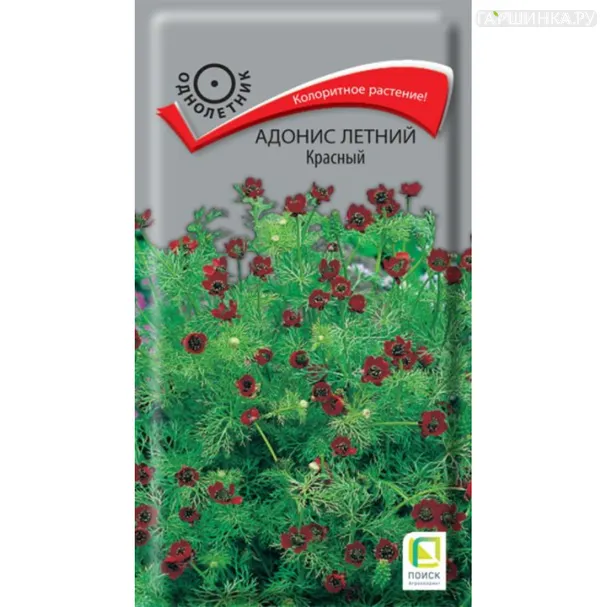 Адонис летний Красный ц/п 0,3 г, Семена Поиск