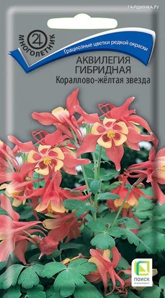 Аквилегия гибридная Кораллово-желтая звезда 0,05, Поиск
