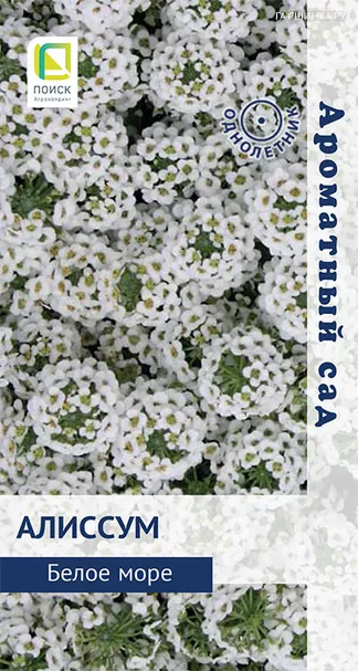 Алиссум Белое море 0,3, Поиск