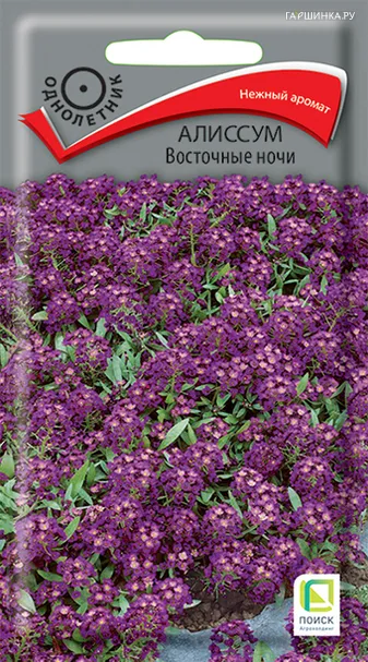 Алиссум Восточные ночи 0,3, Поиск