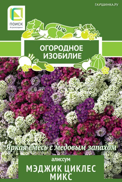 Алиссум Мэджик циклес микс 0,3, Поиск