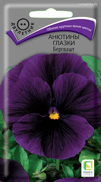 Анютины глазки Бергвашт 0,2 г, Семена Поиск