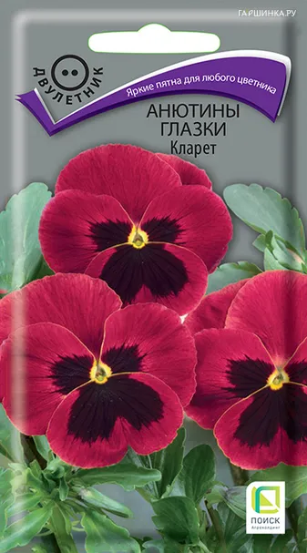 Анютины глазки Кларет 0,2 г, Семена Поиск