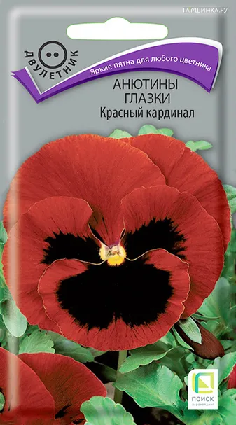 Анютины глазки Красный кардинал 0,2 г, Семена Поиск