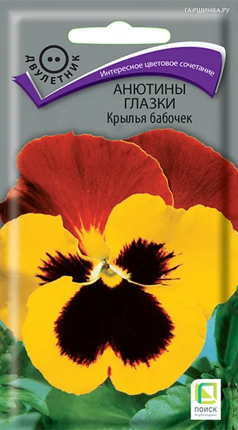 Анютины глазки Крылья бабочек 0,2 г, Семена Поиск