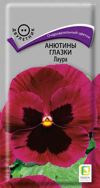 Анютины глазки Лаура 0,2 г, Семена Поиск