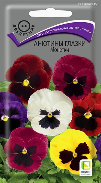 Анютины глазки Монетки 0,2, Поиск