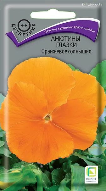 Анютины глазки Оранжевое солнышко 0,2, Поиск
