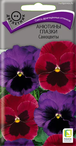 Анютины глазки Самоцветы 0,2, Поиск
