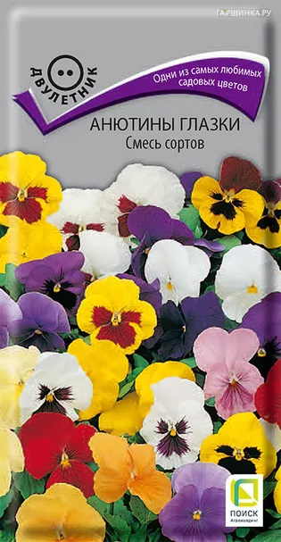 Анютины глазки Смесь сортов 0,2 г, Семена Поиск