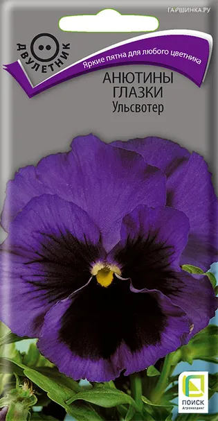 Анютины глазки Ульсвотер 0,2 г, Семена Поиск