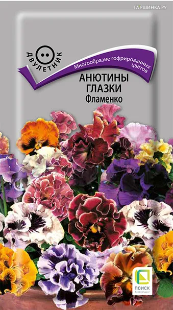 Анютины глазки Фламенко 10, Поиск