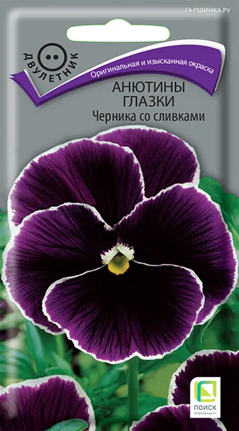 Анютины глазки Черника со сливками 0,1 г, Семена Поиск